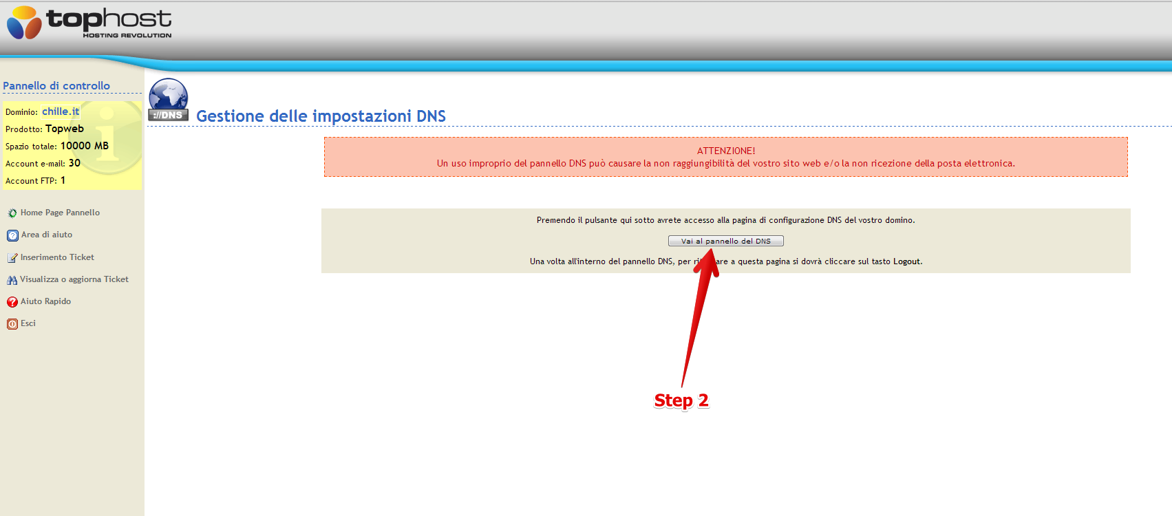 Access TopHost DNS zone